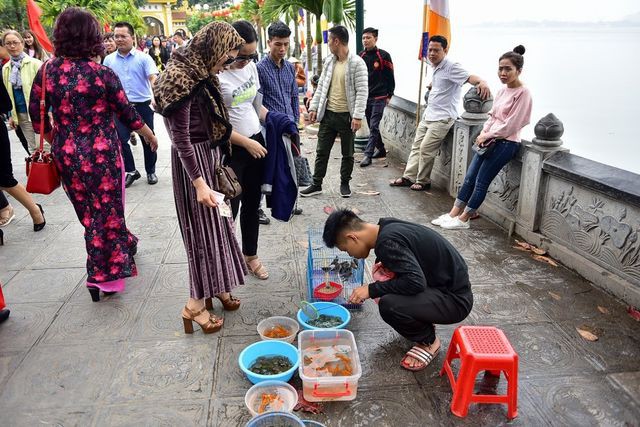 Rất nhiều loại vật như: cá, rùa ốc... được đựng trong các xô chậu phục vụ người đi lễ chùa làm lễ phóng sinh
