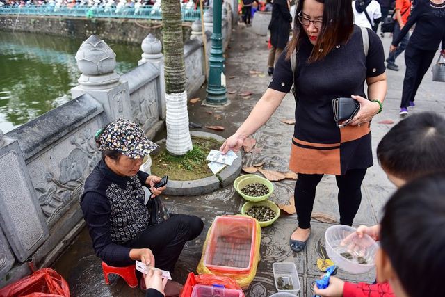 Các cá thể rùa được bày bán tại đây có giá dao động từ 15-30 nghìn đồng/ con, rùa lớn có giá từ 150-300 nghìn đồng/ con.