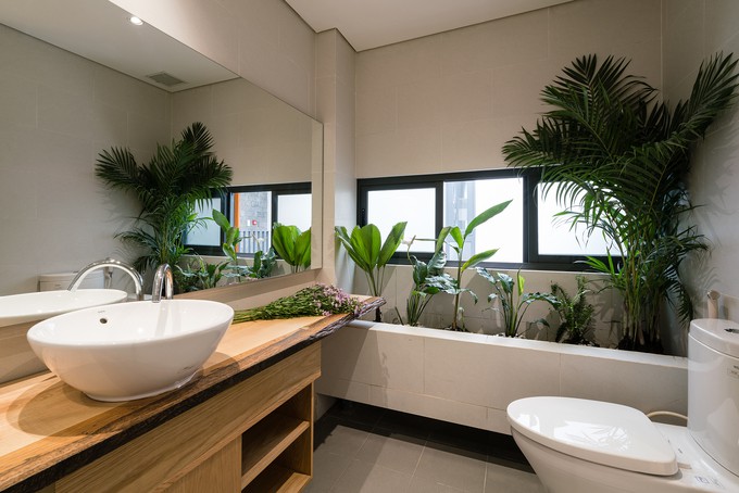 Ngôi nhà tận dụng từng góc nhỏ để tạo những mảng xanh. Cây trồng đều là những loại cây ưa bóng râm, có thể trồng trong nhà.