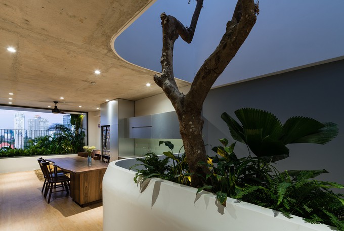 Cây khế nhỏ tạo ấn tượng nơi phòng khách penhouse.