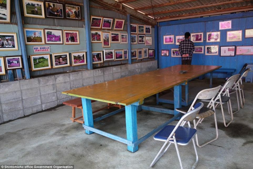 Một góc phòng khách để mọi người có thể ngắm nhìn vườn hoa trong ảnh.