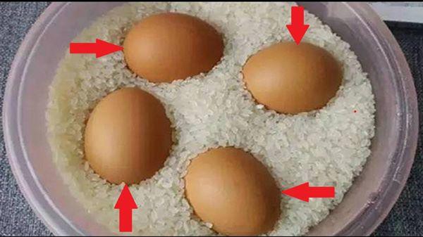 
Việc để trứng trong thùng gạo được nhiều gia đình áp dụng và đều nhận thấy hiệu quả tuyệt vời của nó.
