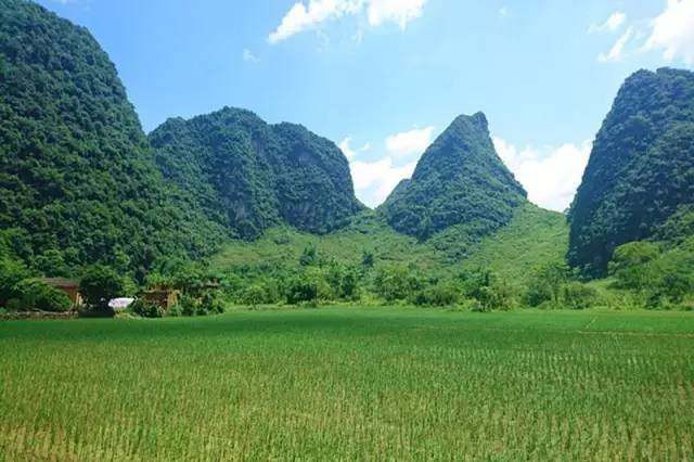 
Khung cảnh yên bình của một vùng quê thuộc tỉnh Quế Lâm.
