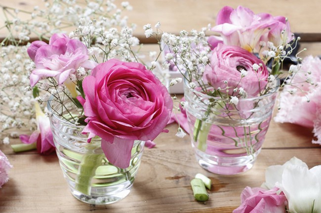 Chỉ với một vài bước đơn giản, bạn không chỉ giúp chúng đẹp đẽ hơn mà còn kéo dài thời gian sống của chúng.