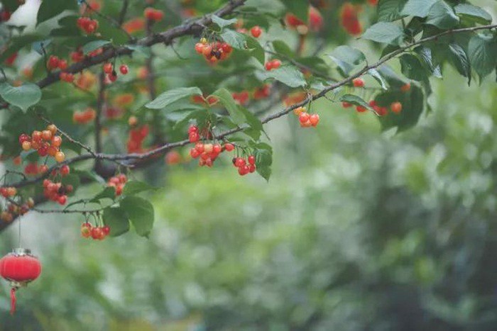 Những góc nhỏ bình yên.