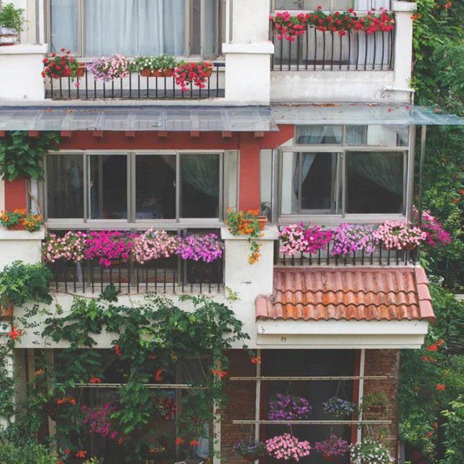 Mỗi ban công đều ngập tràn sắc màu thiên nhiên.