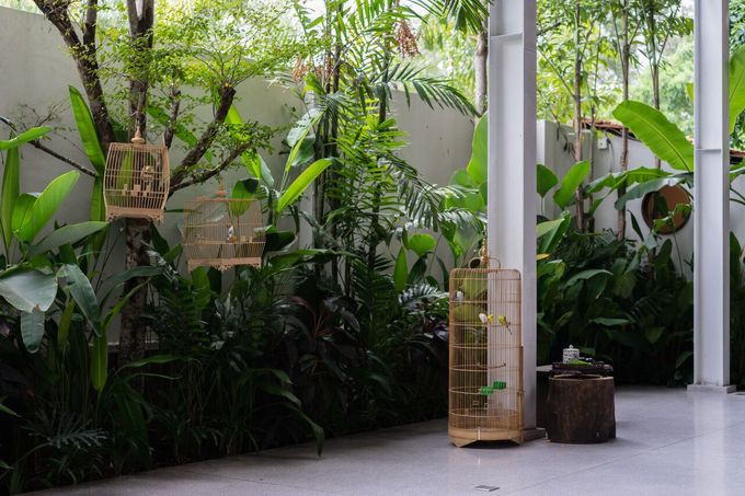 Từ khi có nhà tiệc, tiếp xúc mưa nắng mỗi ngày, không dùng máy lạnh, sáng phải dậy quét sân, tưới cây, chăm chim cảnh - những việc mà chủ nhà trước đây nghĩ rằng không làm được, giờ thành nếp.