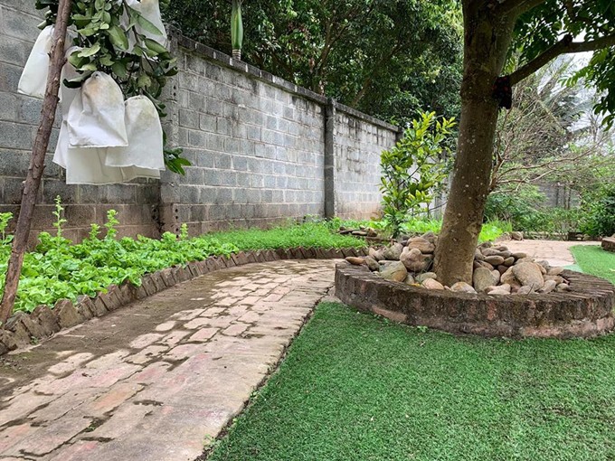 Khu đất phía sau dùng trồng rau, cây ăn quả.