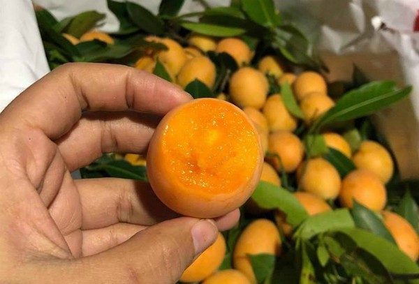 
Thanh tr&agrave; Th&aacute;i Lan ngọt, hơi chua n&ecirc;n được nhiều người ưa chuộng.
