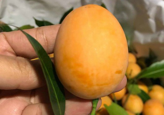 
D&ugrave; gi&aacute; cao, thanh tr&agrave; vẫn &ldquo;ch&aacute;y h&agrave;ng&rdquo;, kh&aacute;ch phải đặt trước mới c&oacute;.

