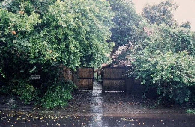 Lối vào nhà, ngôi nhà của những bình yên, cây xanh và nắng mai dịu dàng.