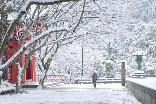 Khi rảnh rỗi bà Yuzi dành thời gian dạo quanh nơi bà sống.