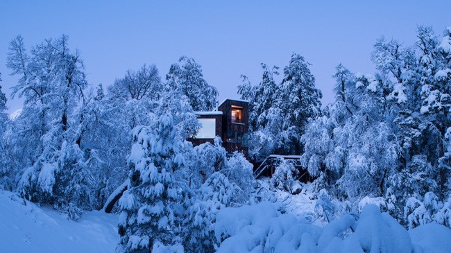 Nằm ở độ cao 1.2192m, La Dacha như được nâng lên trên một tán cây xanh.