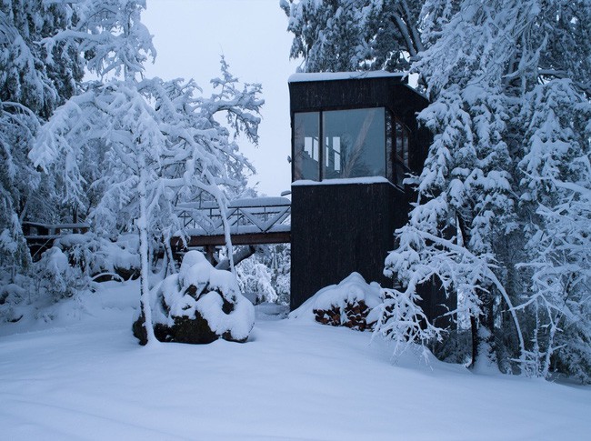 Một cây cầu gỗ kết nối nhà gỗ với sân hiên có mái che.