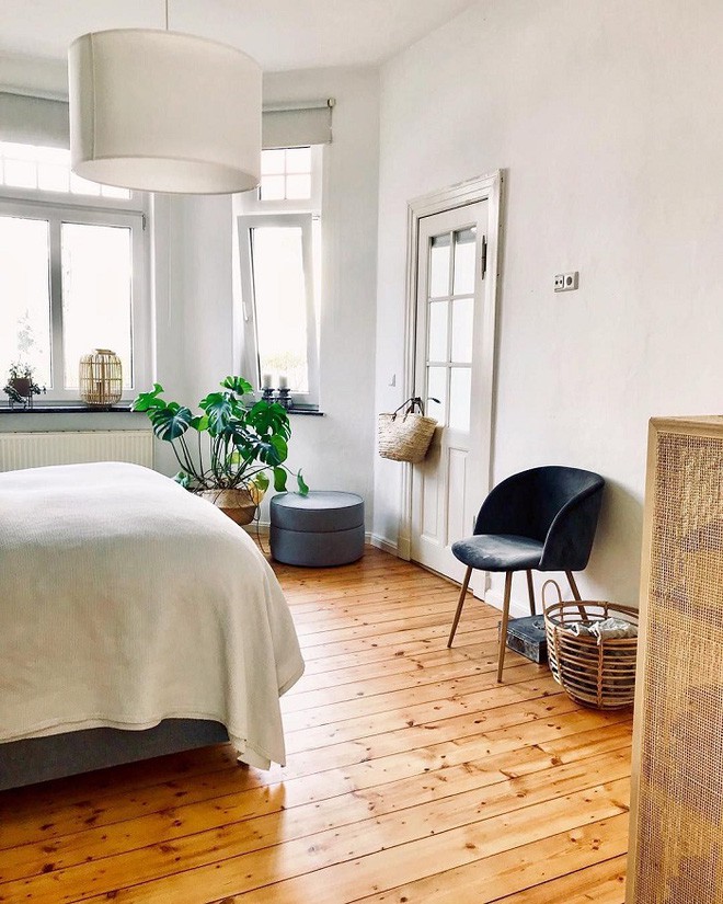 Hoặc bạn có thể đặt một chậu cây xanh vào góc phòng vừa tạo sự tươi mát lại thích mắt nữa.