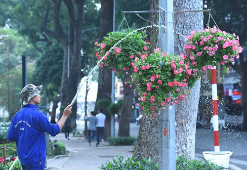 Công nhân tưới cho các giò hoa trưng bày quanh Hồ Gươm, Hà Nội. Ảnh: Giang Huy