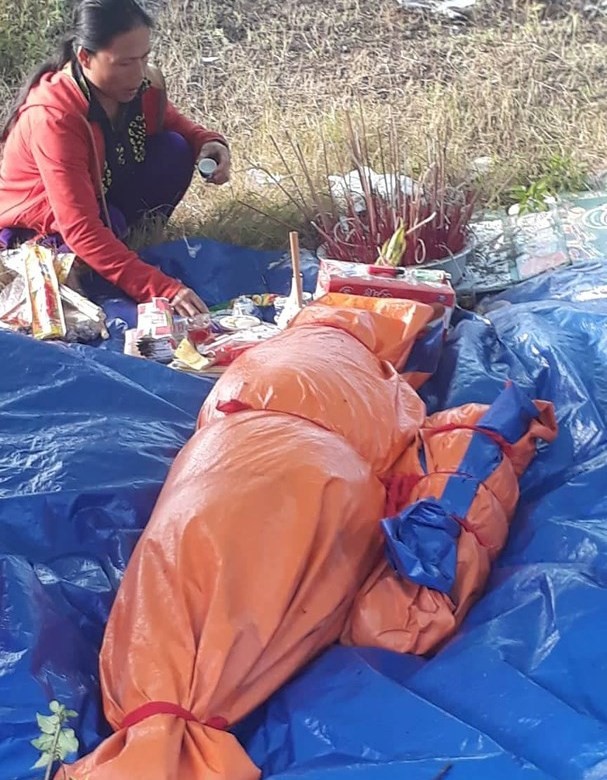 
Hai con cá voi đã chết dạt vào bờ biển xã Diễn Thịnh. Ảnh: Mai Giang.
