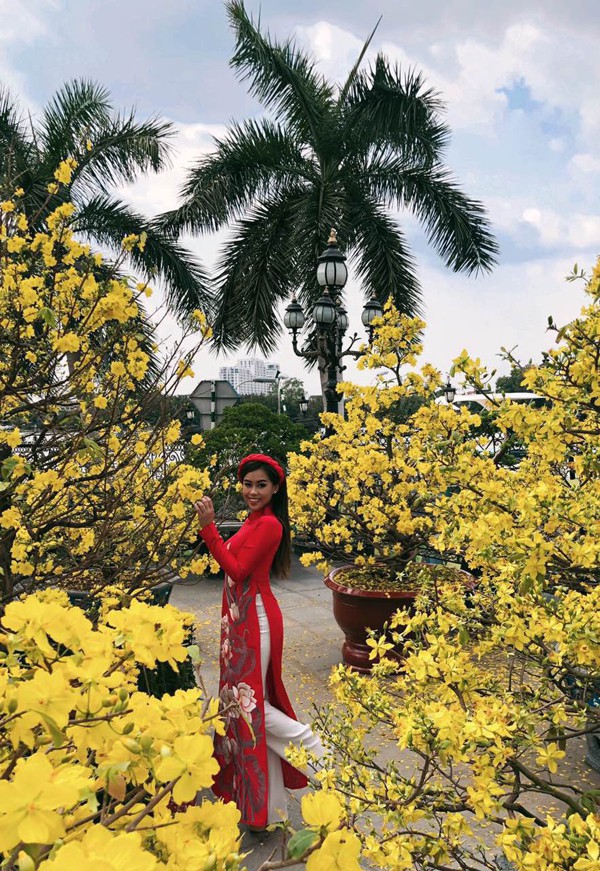 Thảo Tiên điệu đà khoe sắc bên những cây mai đang trổ hoa vàng rực.