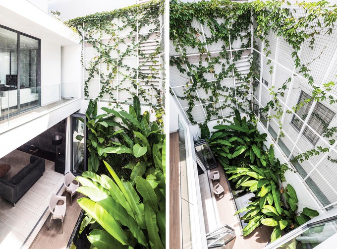 Nếu như cây lớn được trồng phía trước thì sau nhà là một vườn cây nhỏ nằm bên hồ nước và một hệ thống giàn cây leo, để bất kỳ không gian nào trong nhà cũng có view nhìn ra mảng xanh thiên nhiên.