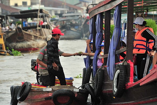 Khách du lịch có thể thưởng thức những loại trái cây tươi ngon ngay trên sông.