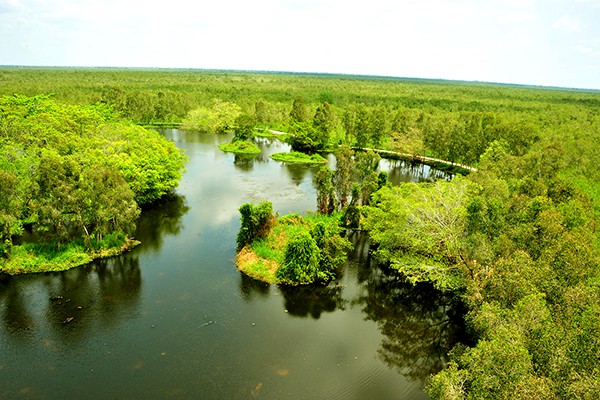 
Du khách có thể lên chòi cao để ngắm được toàn cảnh Vườn Quốc gia U Minh Thượng.
