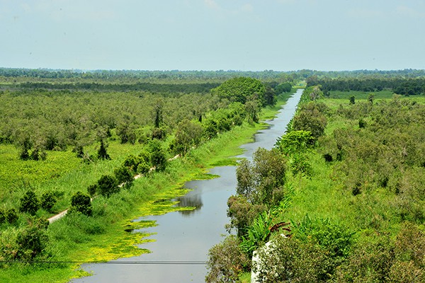 
Hệ thống kênh rạch len lỏi giữa những vùng cây rừng.
