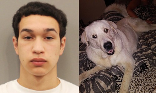 Nghi phạm Castaneda (trái) và con chó cưng của gia đình Martinez. Ảnh: Oxygen.