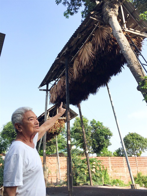 
Mô hình nuôi dơi lấy phân đang mang lại thu nhập ổn định cho người dân ở An Giang
