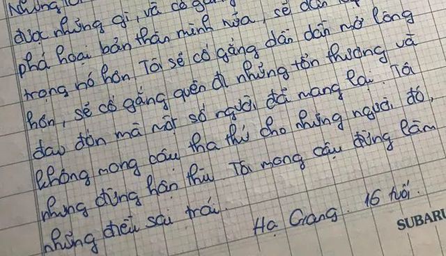 Tôi không mong cậu tha thứ cho những người làm cậu đau đớn, tổn thương nhưng đừng hận thù - em Hạ Giang viết thư cho mình trong tương lai