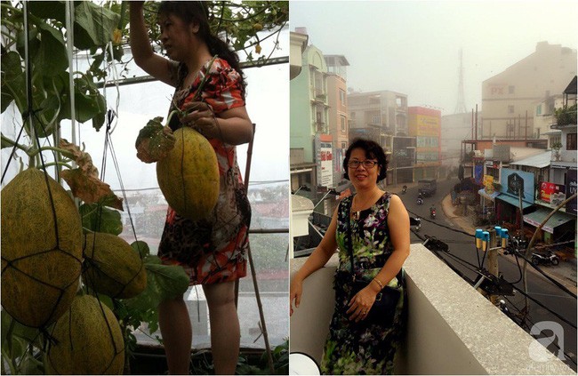 Vụ đông chị hay trồng dưa lưới.