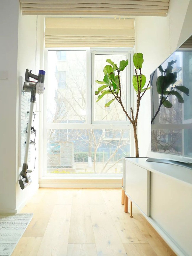 Không gian thoáng sáng.