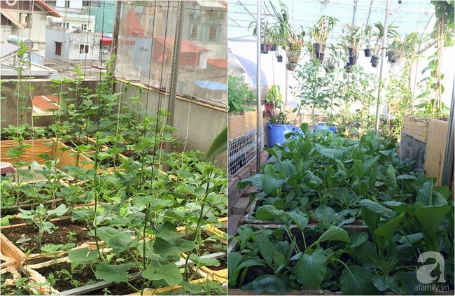 Các thùng được kê cao gọn thoáng.