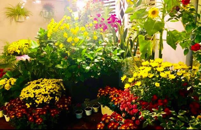 Chị Dạ Thảo tâm sự rất yêu hoa nên dù đã trồng cả trăm gốc hồng vẫn mua thêm các loại hoa khác về trang hoàng nhà cửa.