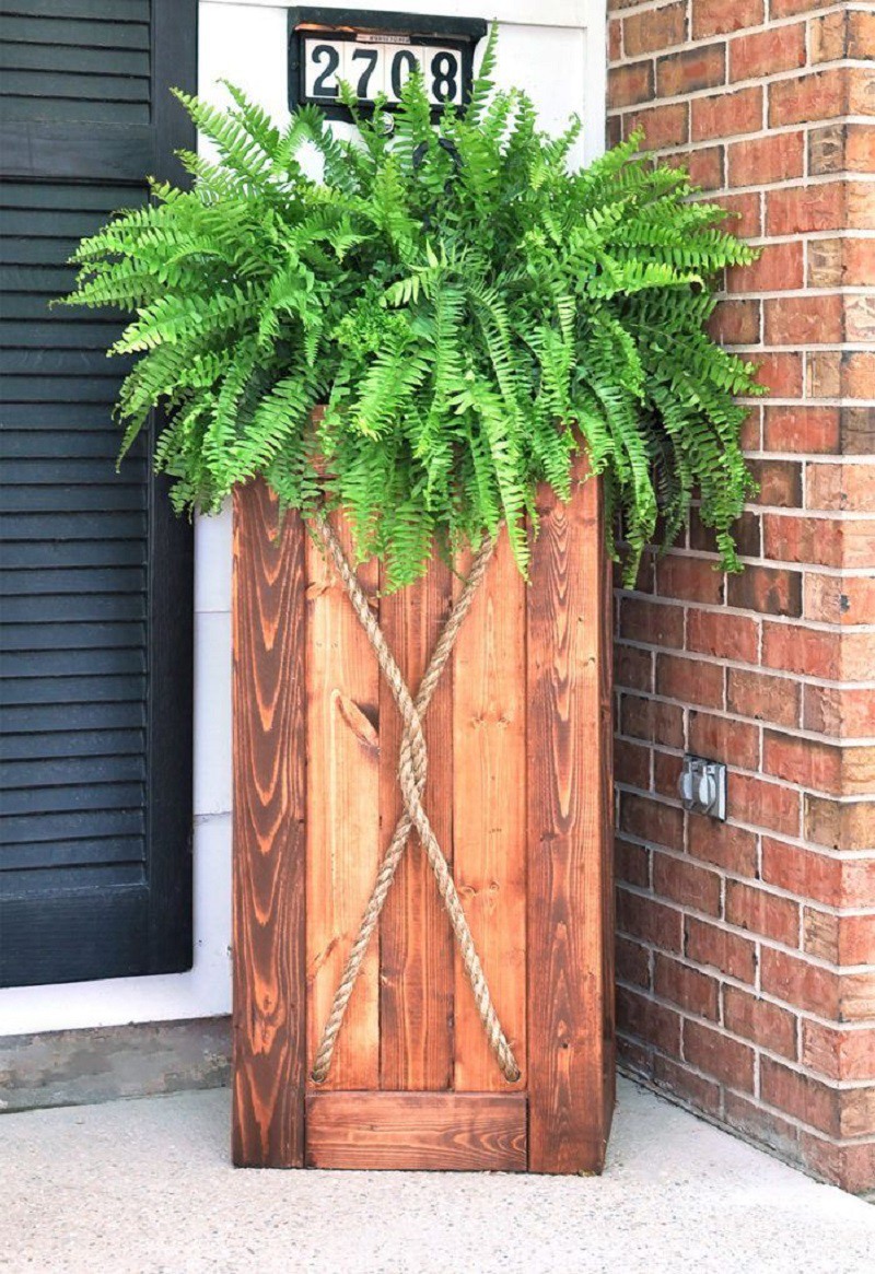 Thiết kế trồng cây xanh không bao giờ là đủ với những người yêu thiên nhiên.