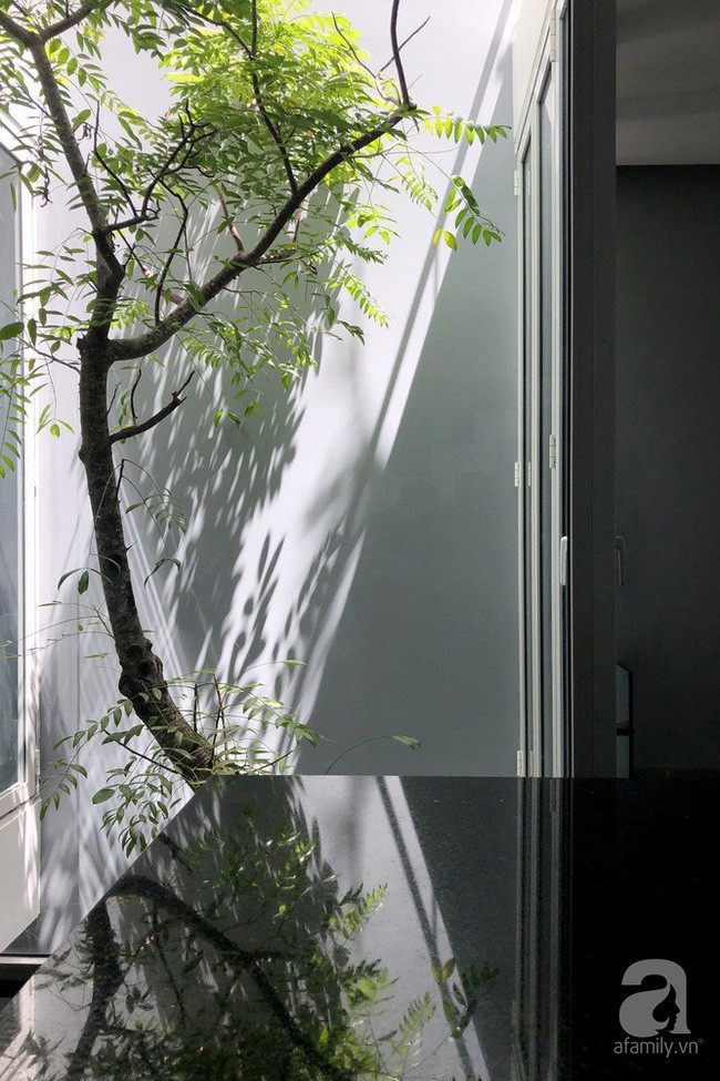 Giếng trời là nơi mang ánh sáng và không khí trong lành vào nhà.