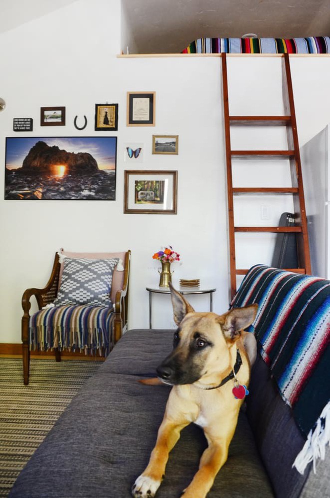 Không gian sống của Daisy cũng được cặp vợ chồng ưu tiên khi thiết kế.