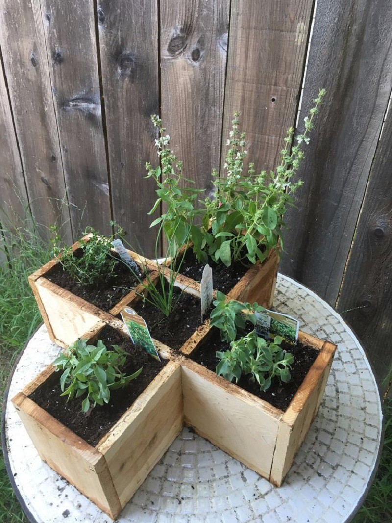 Hoặc ươm các giống cây rau để trồng trong vườn.