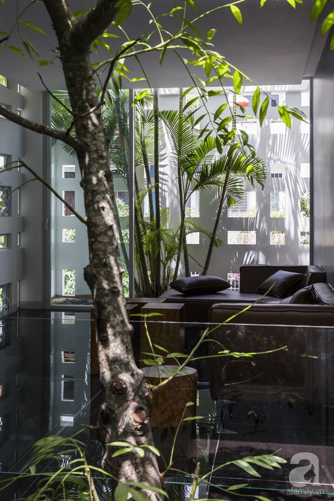 Ngôi nhà thoáng mát.