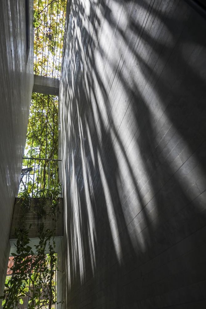 Một trong những điểm hết sức đặc biệt của căn nhà là tận dụng tối đa khoảng trống và sử dụng tường của hai nhà sát bên để tạo một không gian mở.