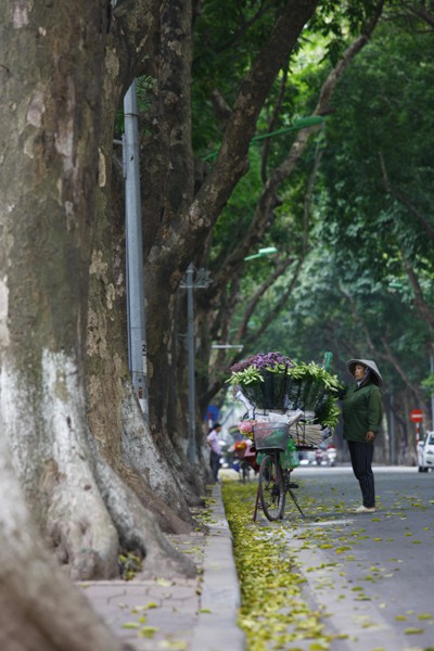 Những xe bán hoa ven đường trở thành một hình ảnh thân quen của người dân Thủ đô.