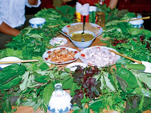 
Món ăn này có cái tên đặc biệt là “gỏi lá” vì thành phần có tới 60 loại lá khác nhau, mỗi lá mang một mùi vị đặc trưng của đặc sản Tây Nguyên.

