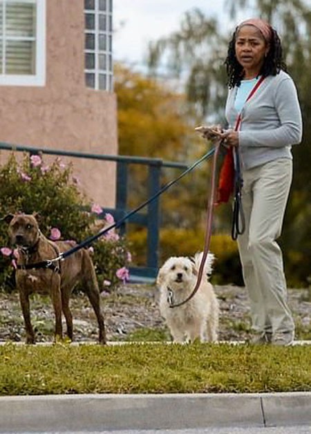 Bà Doria nuôi hai con chó nên khi đến Anh bà đã thuê một người trông nhà và dắt hai con chó đi dạo. Ảnh: Backgrid.
