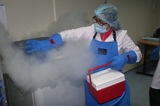 
Kỹ thuật viên đang lấy mẫu tế bào gốc được lưu trữ ở nhiệt độ âm 196 độ C tại Viện Huyết học - Truyền máu Trung ương. Ảnh: TL
