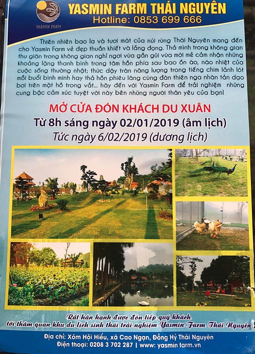 Khu du lịch không phép Yasmin Farm mở cửa đón khách từ 6/2/2019 với giá vé vào cửa cho người lớn là 40.000 đ/lượt.