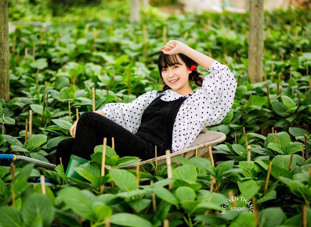 Cho đến thời điểm n&agrave;y, bộ phim Những c&ocirc; g&aacute;i trong th&agrave;nh phố c&oacute; lượng rating cao nhất trong số c&aacute;c phim đang ph&aacute;t tr&ecirc;n VTV, vượt qua cả bộ phim quy tụ nhiều diễn vi&ecirc;n hot như Chạy trốn thanh xu&acirc;n. Trong số c&aacute;c nữ diễn vi&ecirc;n trong Những c&ocirc; g&aacute;i trong th&agrave;nh phố, kh&aacute;n giả rất ấn tượng với vai Lan - một c&ocirc; g&aacute;i c&oacute; giọng n&oacute;i đậm chất Quảng Trị do diễn vi&ecirc;n Kim Oanh thể hiện.