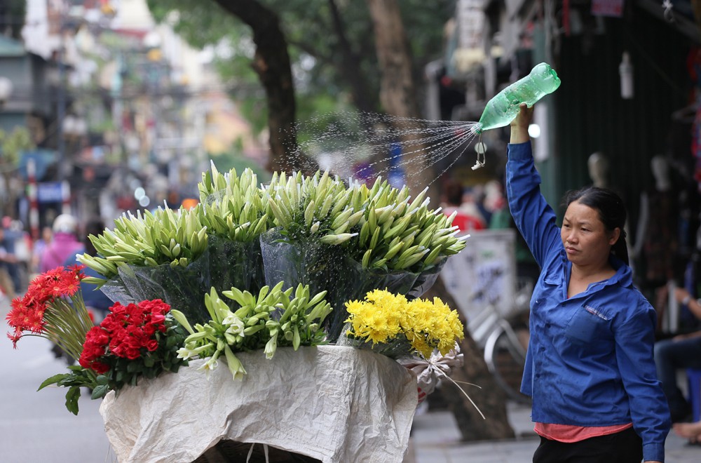Những gánh hàng hoa, xe hoa ngợp sắc màu ngày gió lạnh trên phố.