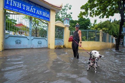 Đưa chú chó Pepper đi dạo, chị Libby (Anh) nói: Pepper rất thích thú khi đằm mình dưới nước, vừa nãy nó còn bơi nữa đấy.