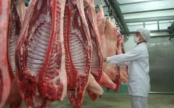 
 Cơ quan chức năng ban ngành đề xuất cấp đông thịt lợn dự trữ để tránh khủng hoảng cung cầu
