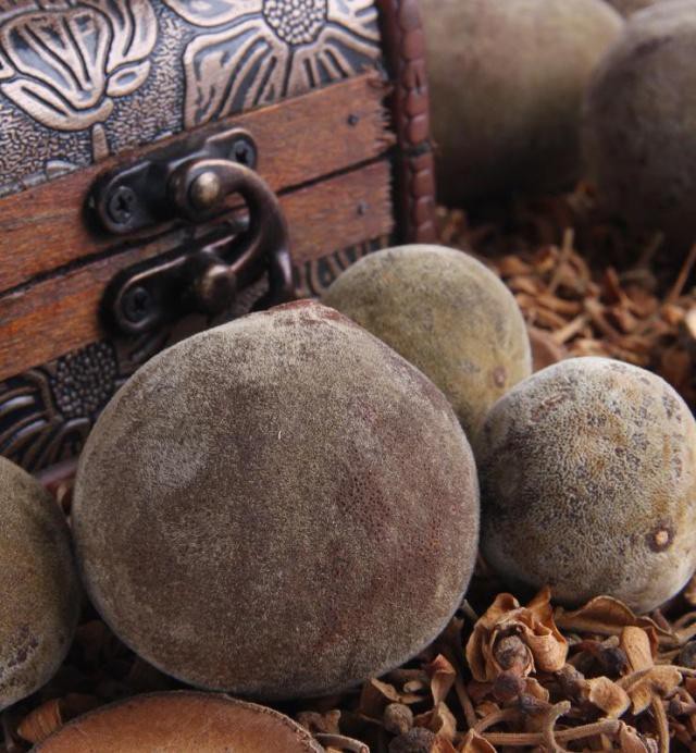 
Qu&yacute;t hồng l&agrave; một loại thảo dược qu&yacute; trong Đ&ocirc;ng y.
