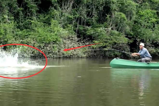 Ăn cá rất tốt, nhưng 4 loại cá này không nên ăn tùy tiện, không có lợi cho sức khỏe - Ảnh 4.